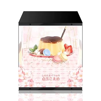 新品しらたまパフェ白玉こまめ しらたまオリジナルキャラクター フィギュア 箱付き しらたまパフェの白玉こまめ | ネイティブオンラインショップ